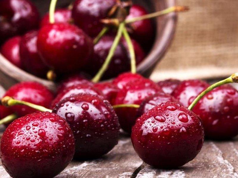 Вишня купить саженцы из питомника в Калуге